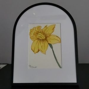 Original "trust" Daffodil Sketch